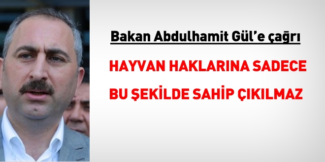 Bakan Abdlhamit Gl'e ar: Hayvan haklarna bu ekilde sahip klmaz