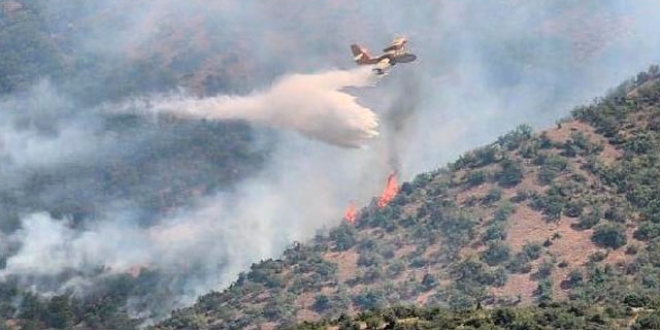 Tunceli'de 3 gündür süren yangın söndürüldü