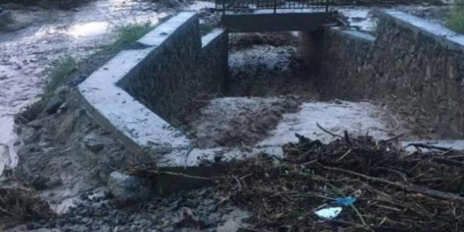 Makinist durumu fark etti, facianın eşiğinden dönüldü