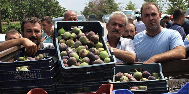 Dünyaca ünlü meyveye ihracat yasağı