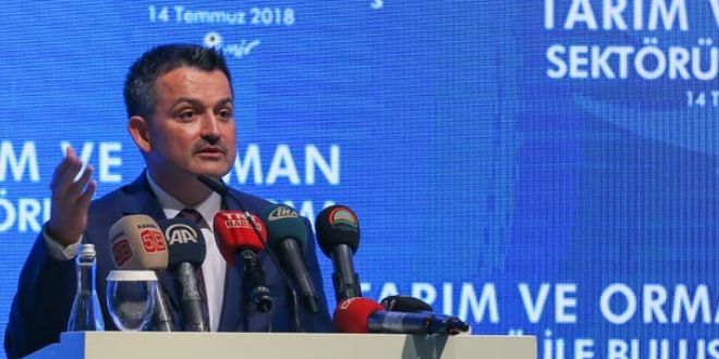 Bakan Pakdemirli'den fındık hasadı açıklaması