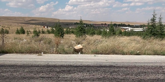 Ön ayakları bağlanan köpek kutu içinde ölüme terk edilmiş