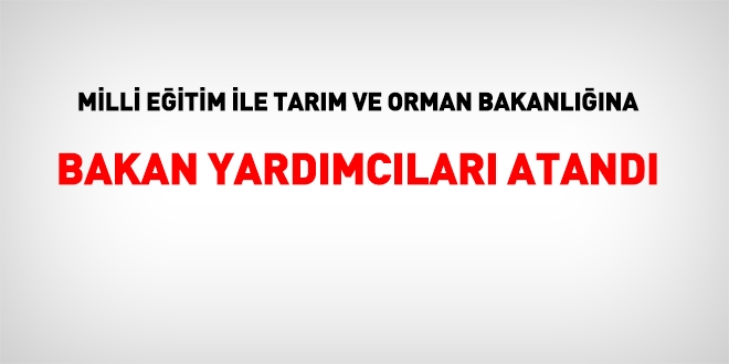 Milli Eğitim ile Tarım ve Orman Bakanlığına 4 Bakan yardımcısı atandı