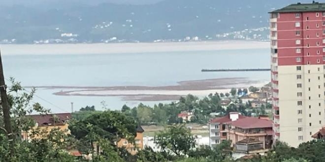 Tonlarca fındık denize aktı