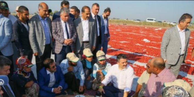 Bakan Pakdemirli tarlada tarım işçileriyle kahvaltı yaptı