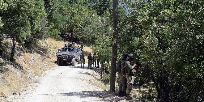 Tunceli'de 10 terrist etkisiz hale getirildi