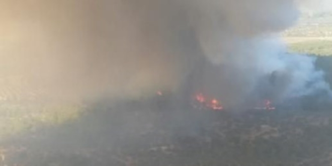 Çanakkale'de orman yangını