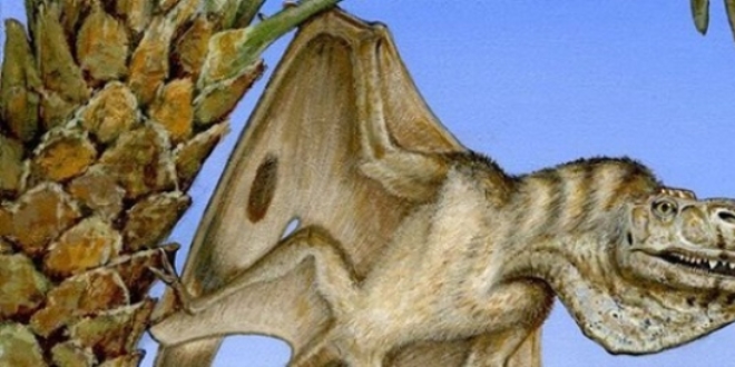 ABD'de yeni bir uçan dinozor türü keşfedildi