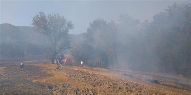 Bolu'daki orman yangını kontrol altına alındı