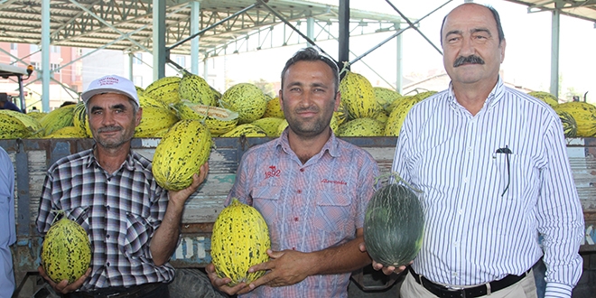 Çankırı'da kavun üretimi yüzleri güldürdü