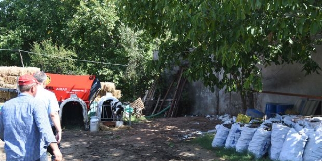 Balıkesir'de besici kurbanlıkları ağır çeksin diye dışkıda bekletti