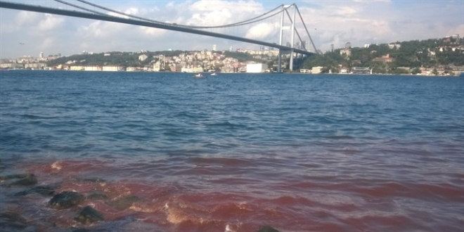 Belediye ekipleri bu görüntülere izin vermeyecek!