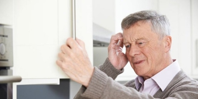 Zebra balığı, Alzheimer için umut oldu