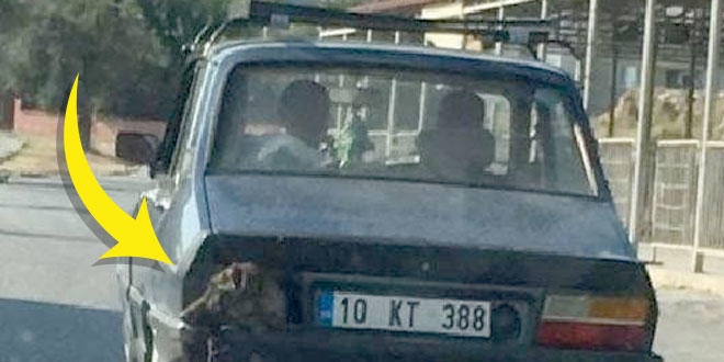 Yaptığı da sözleri de 'pes' dedirtti