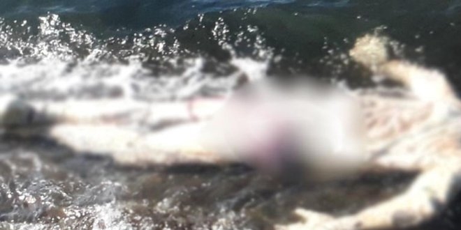 Samsun'da denizde ceset bulundu