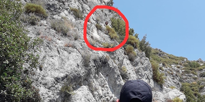 Dağda mahsur kalan öğretmeni AFAD kurtardı