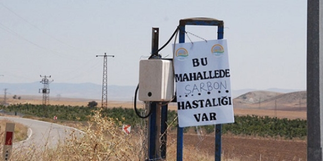 Ankara'da şarbon karantinası