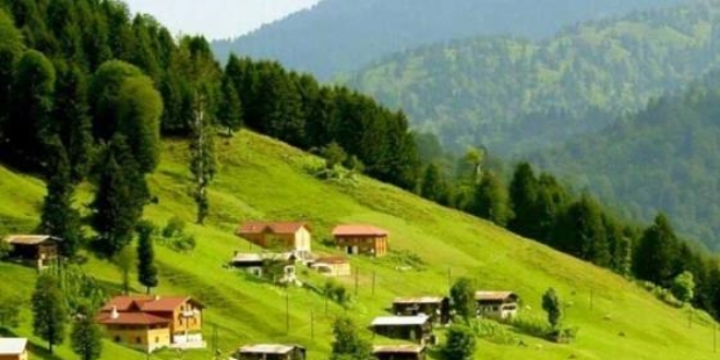 'Artvin, apiterapi için çok önemli potansiyele sahip'