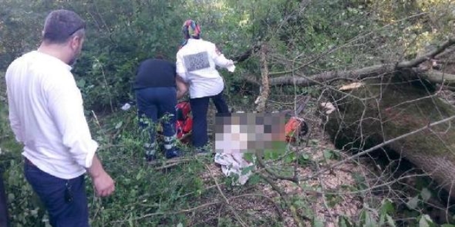 Üzerine ağaç devrilen orman işçisi hayatını kaybetti