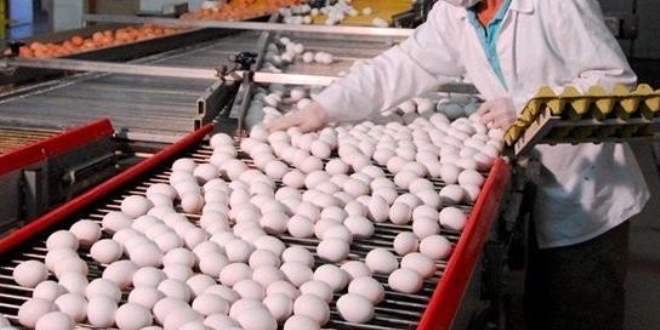 İzmir'de zam şampiyonu yumurta