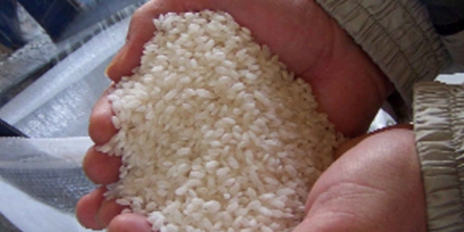 Snr getirilmezse, 1 kg pirinci 15-20 TL'ye yiyebiliriz