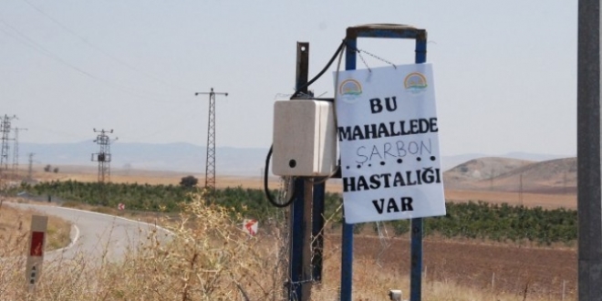 Tarım İl Müdürlüğü 'şarbon' iddialarını yalanladı