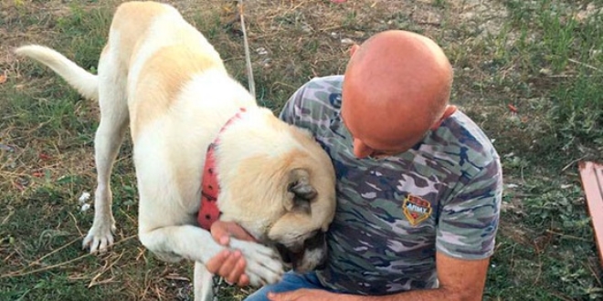 Kaybolan köpeklerini bulana 10 bin TL ödül