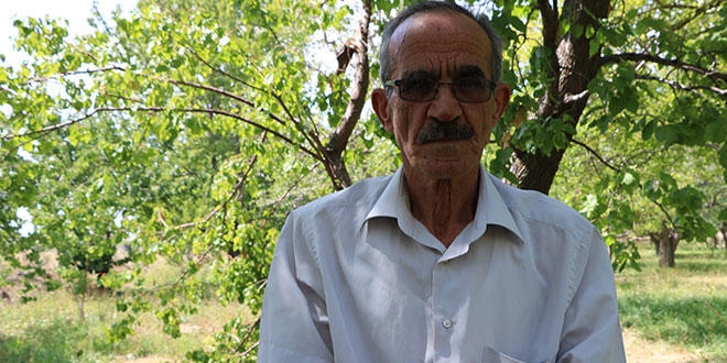 Üretici şokta, elmanın yüzde 80'i zarar gördü!