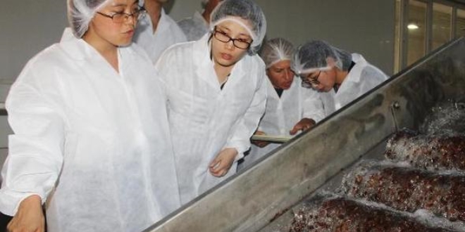 ABD'den vazgeçen Çinliler Türkiye'de