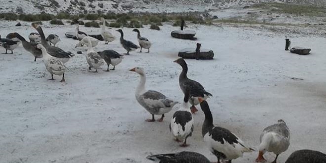Doğu'da yüksek kesimlere mevsimin ilk karı düştü