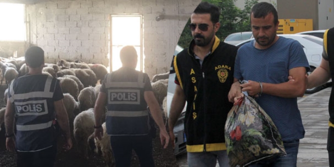 Vatandaşı dolandırıp çiftlik kuran sanığın ifadesi şaşırttı