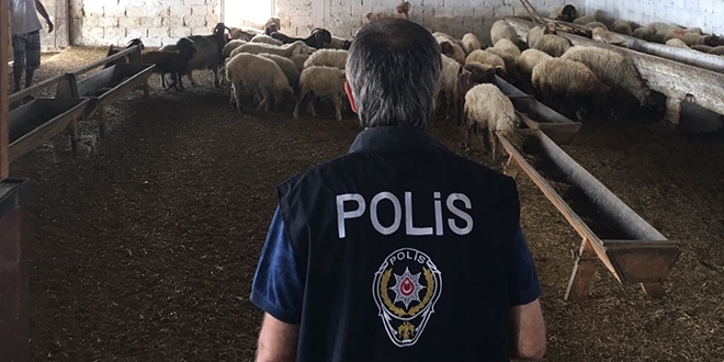 Vatandaşları 2 milyon TL dolandırıp hayvan çiftliği kurmuş