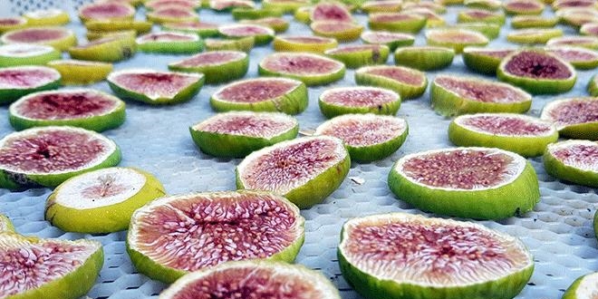 Yeğenleri için üretti, şimdi dünyaya satıyor