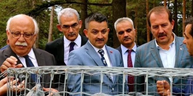 Bitkisel orman atıkları enerji ve gübreye dönüşecek