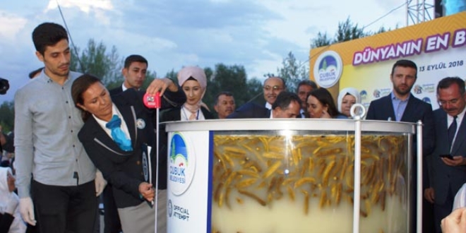 1,5 ton ağırlığında turşu rekorlar kitabına girdi