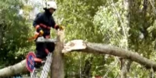 Cuma namazında cemaatin üzerine ağaç devrildi