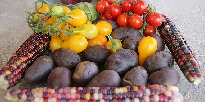 Tarımın 'renkli' dünyası en büyük hobisi