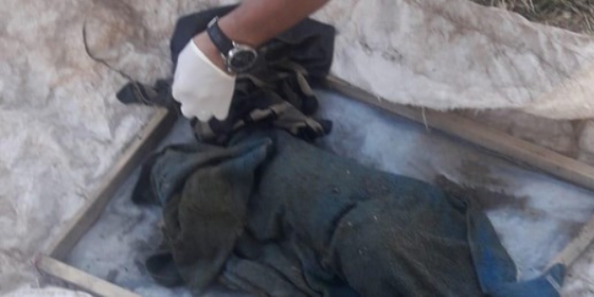 Van'da yeni domu bebek cesedi bulundu