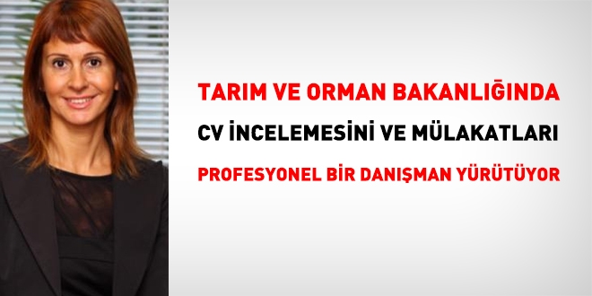 Tarımda, CV'leri profesyonel bir danışman inceliyor