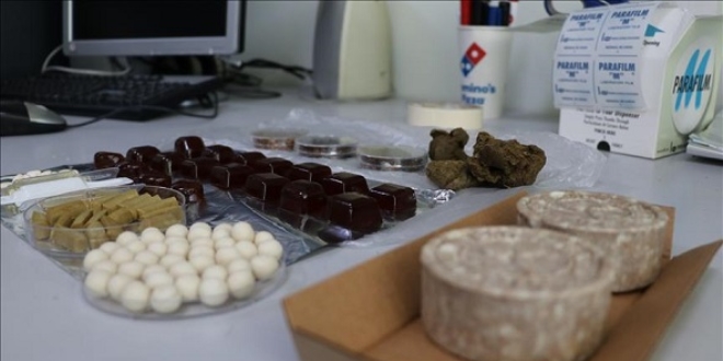 Çocuklar için propolisli 'jeli şeker' ürettiler