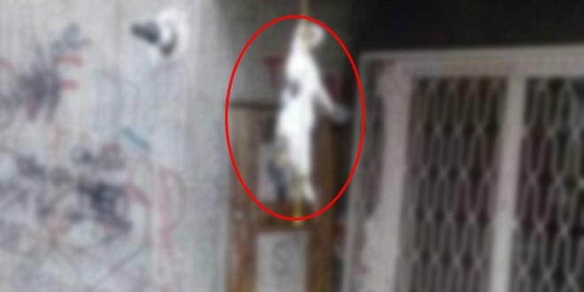 Bunun adı vahşet! Kediyi iple astılar