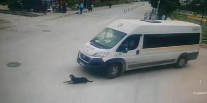 Köpeği ezen servis şoförüne ceza