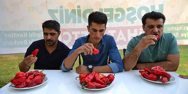 Yarım kilo isotu 5 dakikada tükettiler