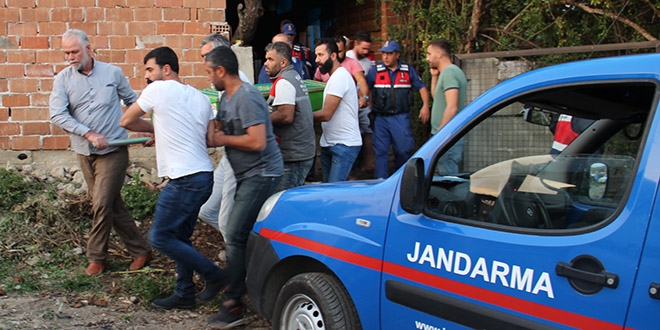 Aydın'da deve dehşeti: Bakıcısını feci şekilde öldürdü