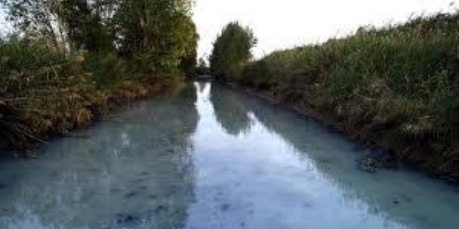 Meriç Nehri'nde zehir iddiası