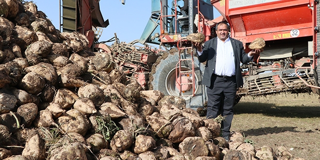 Pancarın bileti kesildi, şekere yolculuk başladı