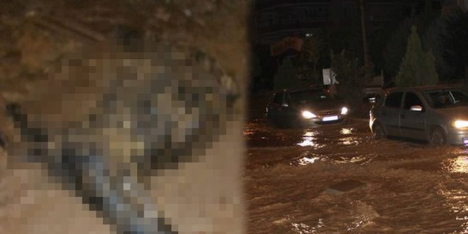 Adıyaman'da şiddetli yağış! 120 küçükbaş hayvan sele kapıldı