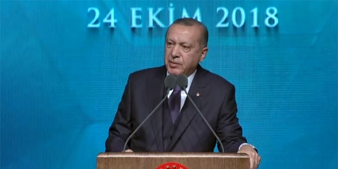 Erdoğan: Danıştay'ın yüzünden 1 milyar dolar zarara uğradık