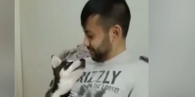 Köpeğine suni teneffüs yapan doktor zehirlendi