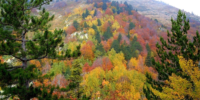 Sivas'ta sonbahar güzelliği
